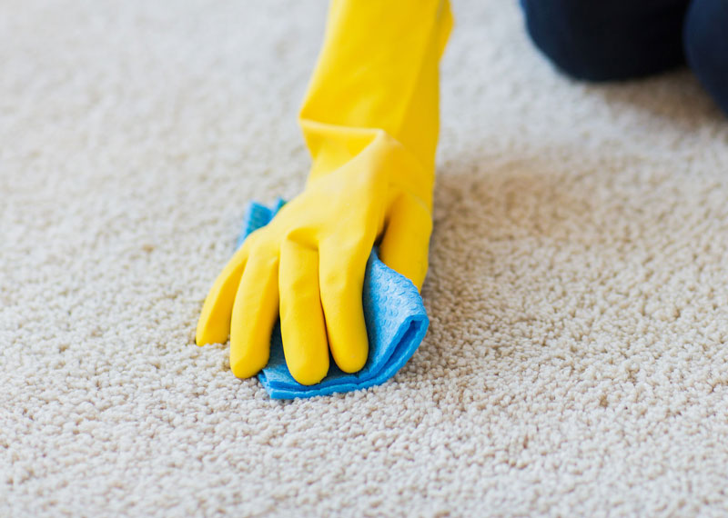 carpet-cleaning-specialists